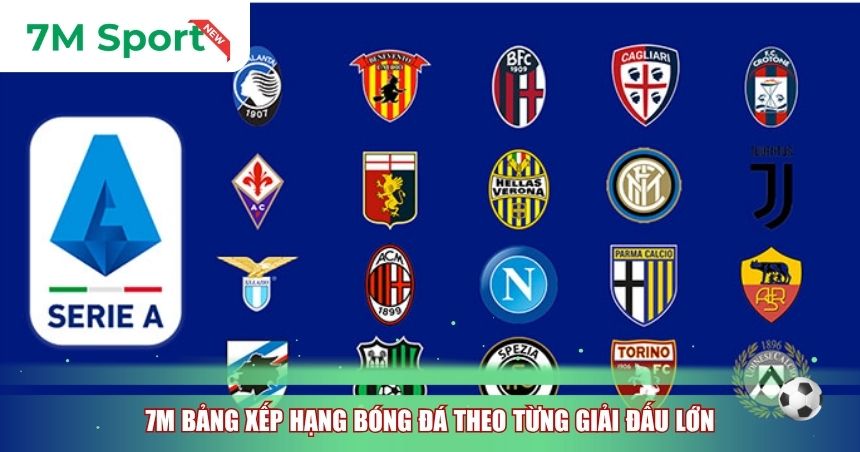 7M bảng xếp hạng bóng đá theo từng giải đấu lớn