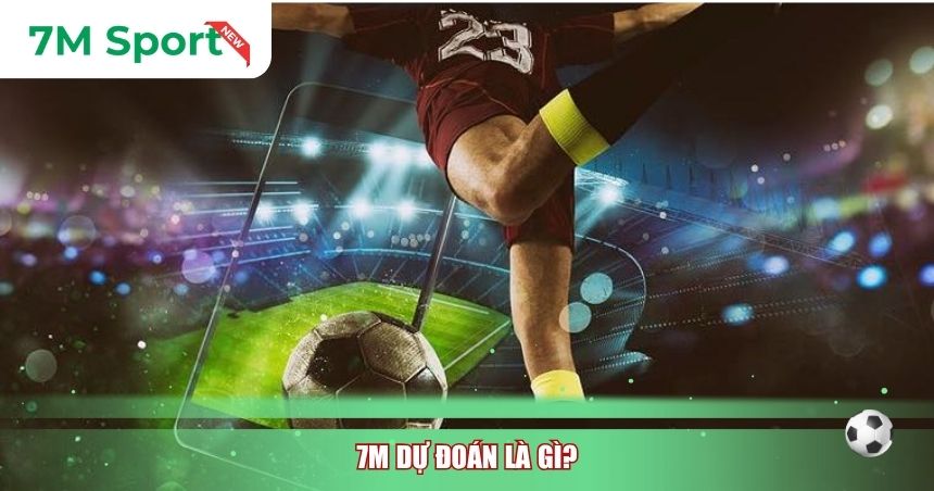 7M dự đoán là gì?