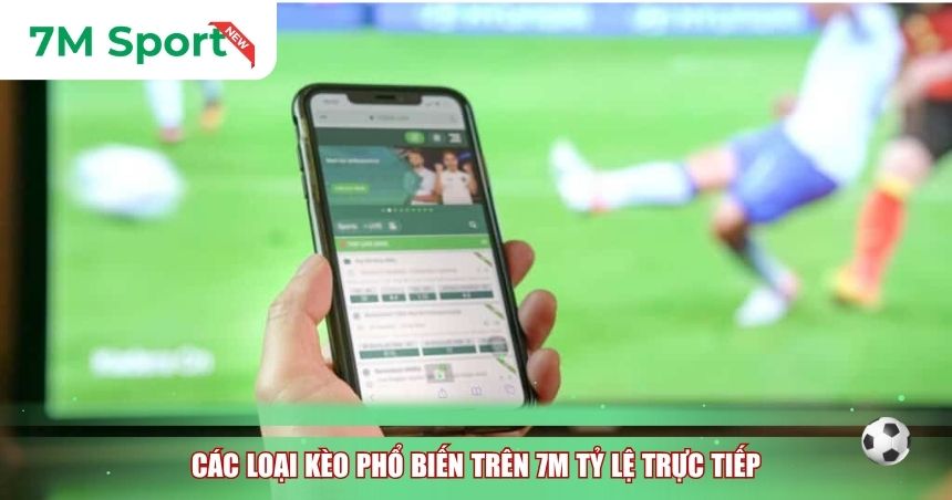 Các loại kèo phổ biến trên 7M tỷ lệ trực tiếp
