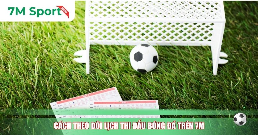 Cách theo dõi lịch thi đấu bóng đá trên 7M