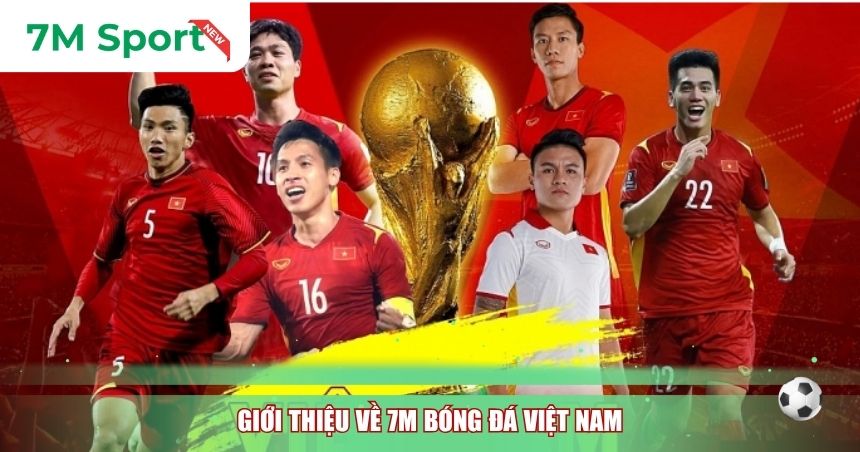 Giới thiệu về 7M bóng đá Việt Nam