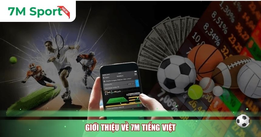 Giới thiệu về 7M tiếng Việt