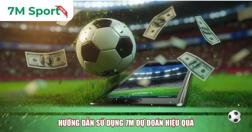 Hướng dẫn sử dụng 7M dự đoán hiệu quả