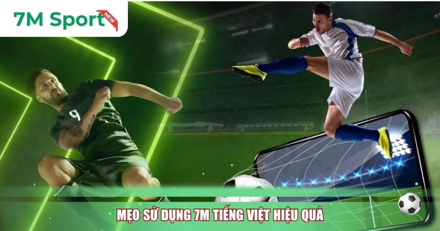Mẹo sử dụng 7M tiếng Việt hiệu quả