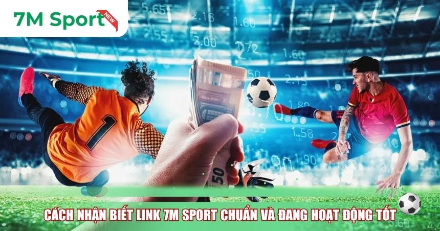 Cách nhận biết Link 7M Sport chuẩn và đang hoạt động tốt