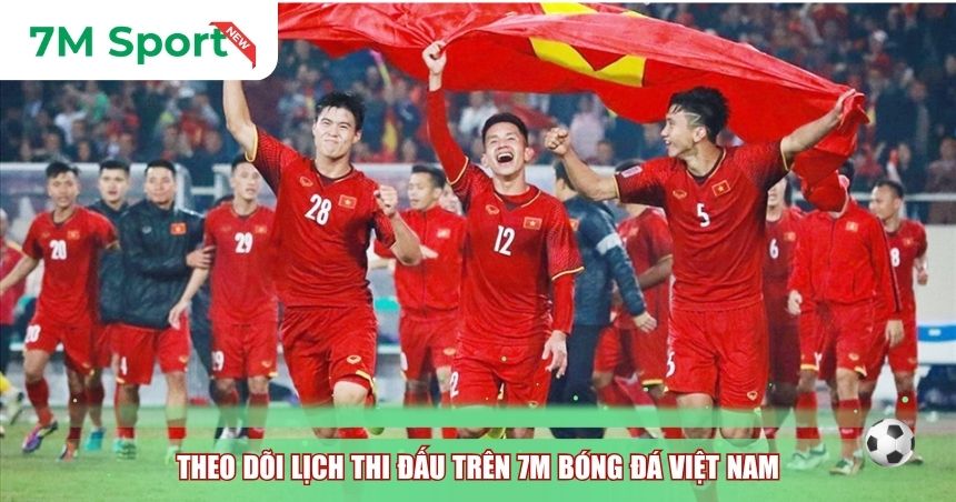 Theo dõi lịch thi đấu trên 7M bóng đá Việt Nam