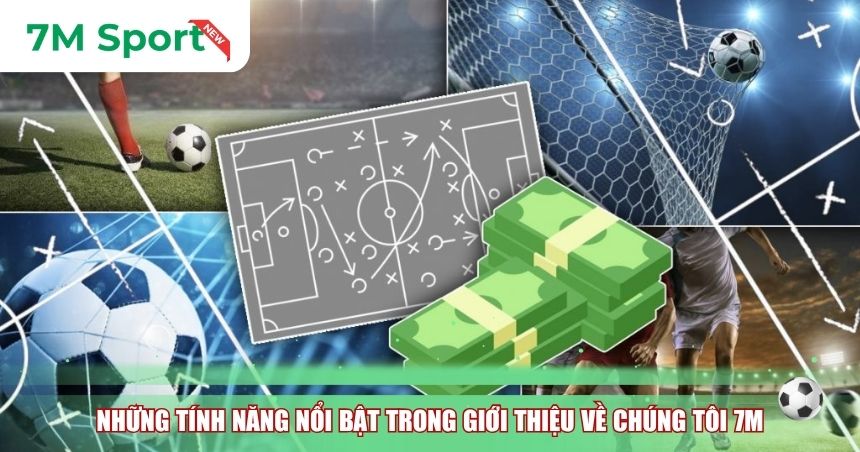 Những tính năng nổi bật trong giới thiệu về chúng tôi 7M